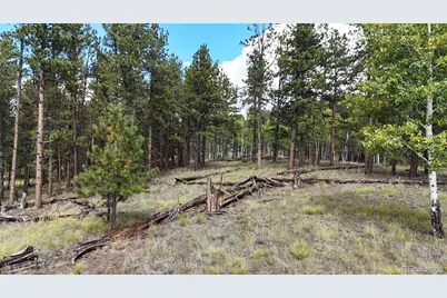 2265 Vagabond Creek Drive, Lake George, CO 80827 - Photo 7