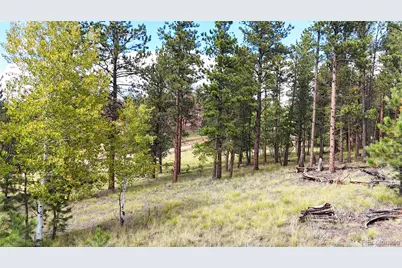 2265 Vagabond Creek Drive, Lake George, CO 80827 - Photo 1