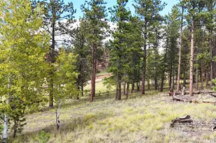 2265 Vagabond Creek Dr, Lake George, CO 80827 - Photo 1