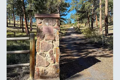 725 Buddy Road, Bailey, CO 80421 - Photo 47