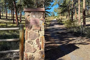 725 Buddy Rd, Bailey, CO 80421 - Photo 47