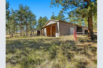 725 Buddy Road, Bailey, CO 80421 - Photo 41