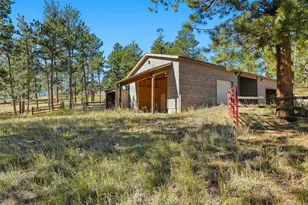 725 Buddy Rd, Bailey, CO 80421 - Photo 41