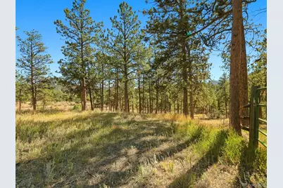 725 Buddy Road, Bailey, CO 80421 - Photo 43