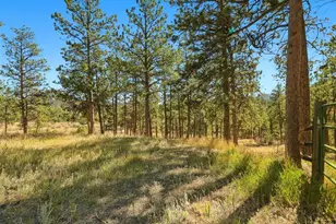 725 Buddy Rd, Bailey, CO 80421 - Photo 43