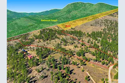 725 Buddy Road, Bailey, CO 80421 - Photo 35