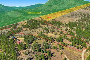 725 Buddy Rd, Bailey, CO 80421 - Photo 35