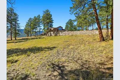 725 Buddy Road, Bailey, CO 80421 - Photo 31