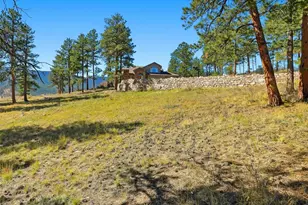 725 Buddy Rd, Bailey, CO 80421 - Photo 31