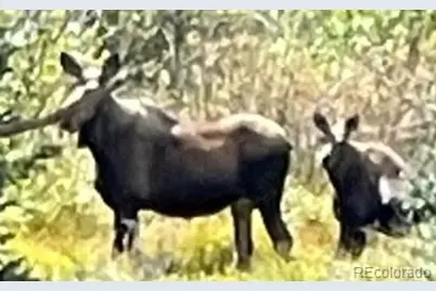 365 Gold Pan Lane, Fairplay, CO 80440 - Photo 49