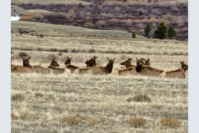 365 Gold Pan Lane, Fairplay, CO 80440 - Photo 47