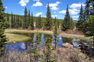 365 Gold Pan Ln, Fairplay, CO 80440 - Photo 41