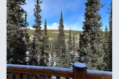 365 Gold Pan Lane, Fairplay, CO 80440 - Photo 33