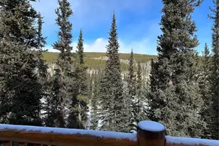 365 Gold Pan Ln, Fairplay, CO 80440 - Photo 33