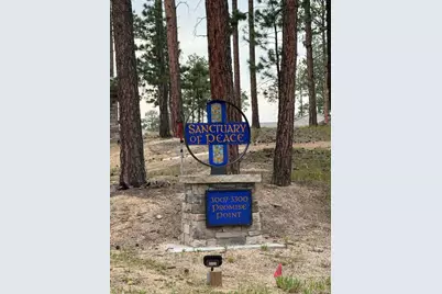 3155 Promise Point, Colorado Springs, CO 80921 - Photo 25