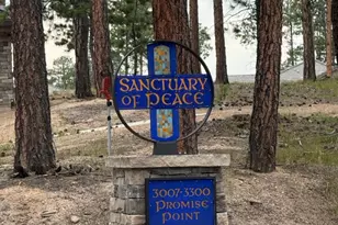 3155 Promise Pt, Colorado Springs, CO 80921 - Photo 25