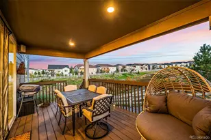 2658 Villageview Ln, Castle Rock, CO 80104 - Photo 33