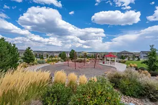 2658 Villageview Ln, Castle Rock, CO 80104 - Photo 41
