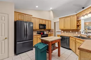 798 S Dory Lakes Dr, Black Hawk, CO 80422 - Photo 19