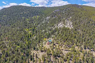 5896 Peregrine Trail, Golden, CO 80403 - Photo 45