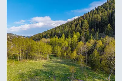 5896 Peregrine Trail, Golden, CO 80403 - Photo 43