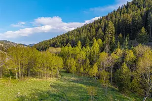 5896 Peregrine Trail, Golden, CO 80403 - Photo 43