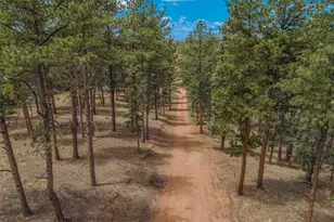 46 Kingston Cir, Florissant, CO 80816 - Photo 49