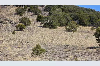 Lot 5506 Balleroy Road, Fort Garland, CO 81133 - Photo 19