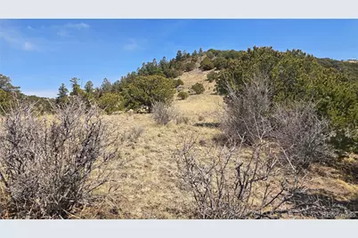 Lot 5506 Balleroy Road, Fort Garland, CO 81133 - Photo 23