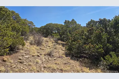 Lot 5506 Balleroy Road, Fort Garland, CO 81133 - Photo 9