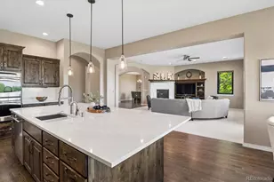 247 Meadow View Pkwy, Erie, CO 80516 - Photo 19