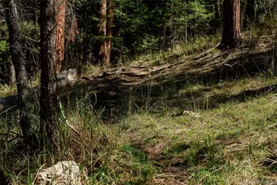 000 Aspen Lane, Golden, CO 80401 - Photo 7