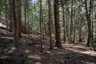 000 Aspen Lane, Golden, CO 80401 - Photo 3