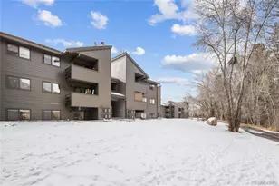 1061 W Beaver Creek Blvd, Avon, CO 81620 - Photo 9