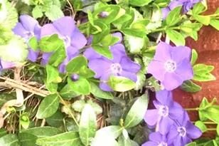 10510 S Deer Creek Rd, Littleton, CO 80127 - Photo 39