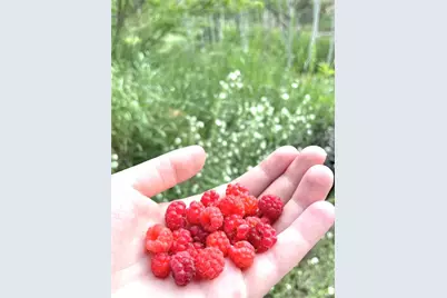 10510 S Deer Creek Road, Littleton, CO 80127 - Photo 35