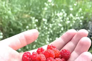 10510 S Deer Creek Rd, Littleton, CO 80127 - Photo 35