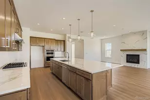 218 Leafy Aster Ln, Castle Rock, CO 80104 - Photo 9