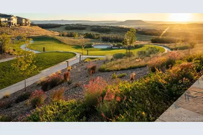 218 Leafy Aster Lane, Castle Rock, CO 80104 - Photo 31