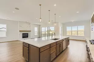 218 Leafy Aster Ln, Castle Rock, CO 80104 - Photo 13