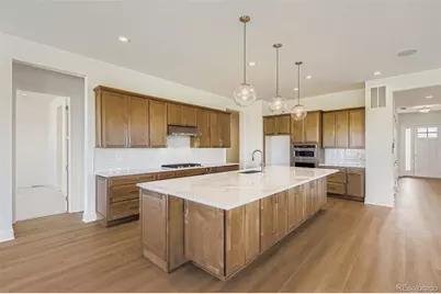 218 Leafy Aster Lane, Castle Rock, CO 80104 - Photo 11