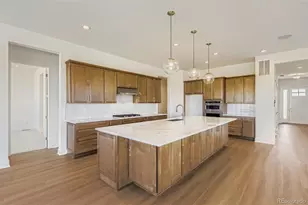 218 Leafy Aster Ln, Castle Rock, CO 80104 - Photo 11