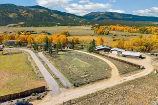 16975 Co Rd 306, Buena Vista, CO 81211 - Photo 47