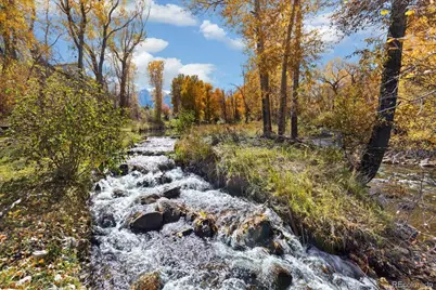 16975 County Road 306, Buena Vista, CO 81211 - Photo 5