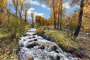 16975 Co Rd 306, Buena Vista, CO 81211 - Photo 5
