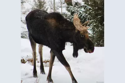 178 Saw Horse Lane, Black Hawk, CO 80422 - Photo 43