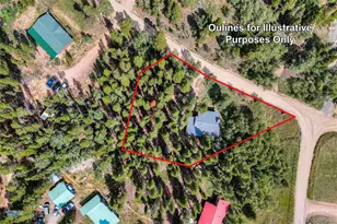 423 Mountain Meadows Dr, Black Hawk, CO 80422 - Photo 41