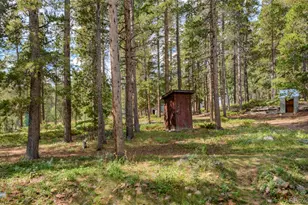 423 Mountain Meadows Dr, Black Hawk, CO 80422 - Photo 21