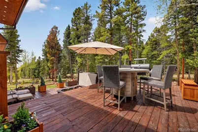 10632 Conifer Mountain Road, Conifer, CO 80433 - Photo 33