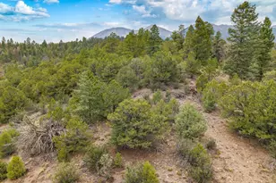 13500 Co Rd 251, Salida, CO 81201 - Photo 43